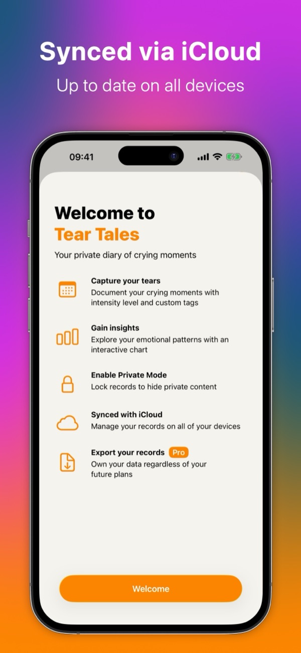 The welcome screen listing the app's features